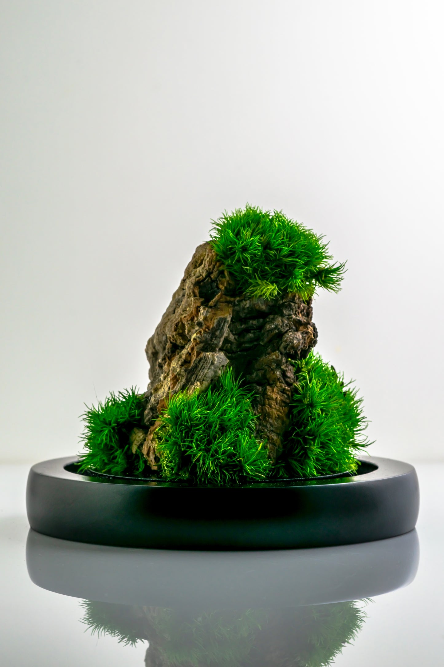 Micro Mountainscape #4