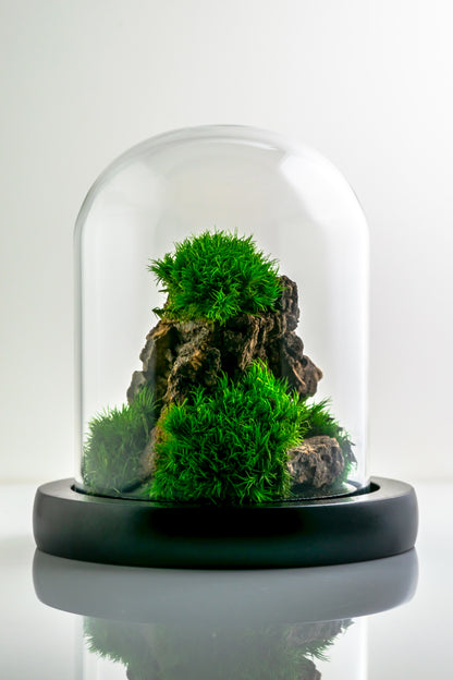 Micro Mountainscape #4