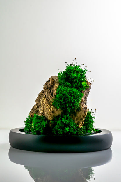 Micro Mountainscape #2