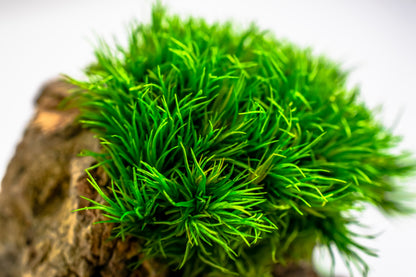 Micro Mountainscape #4