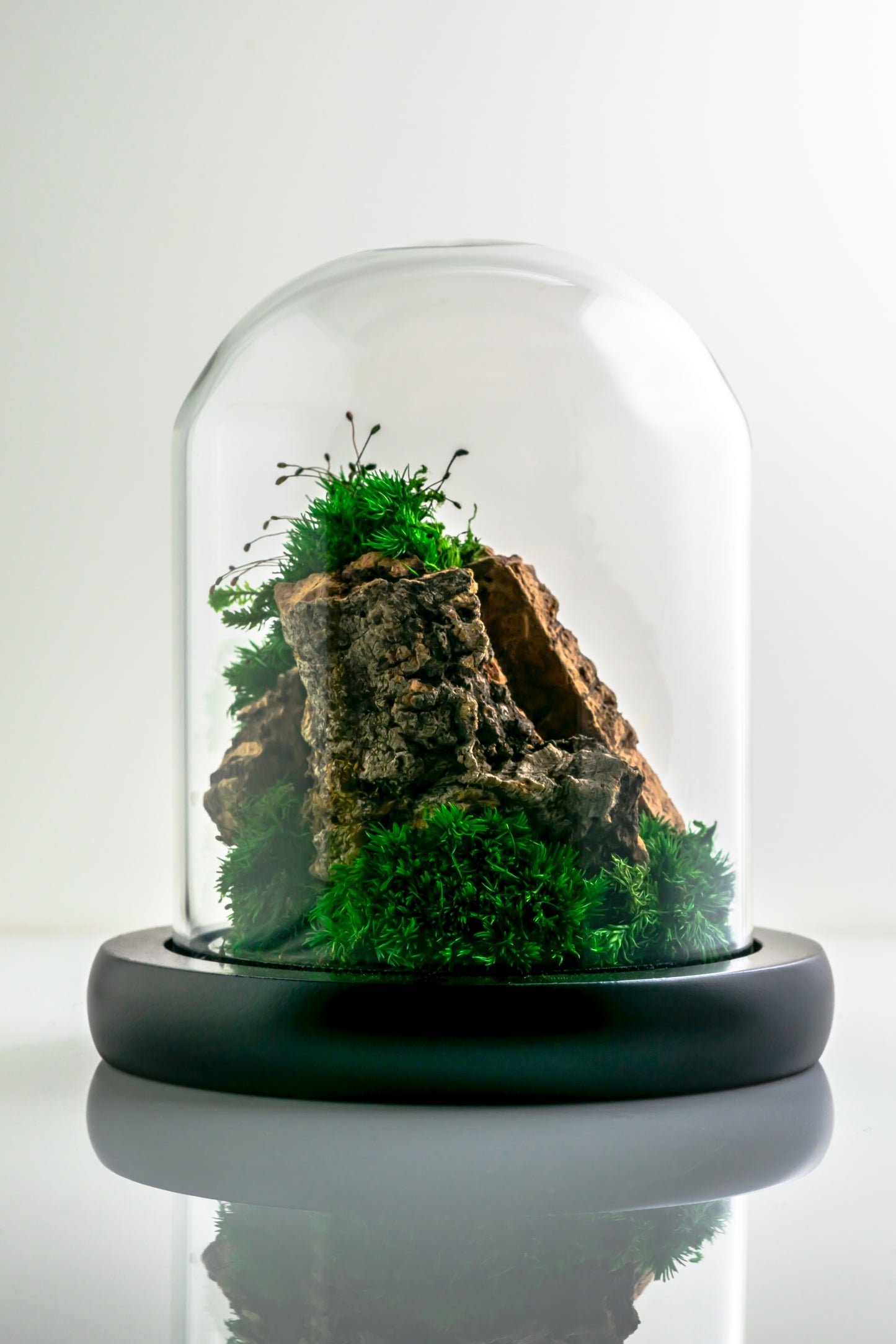 Micro Mountainscape #2